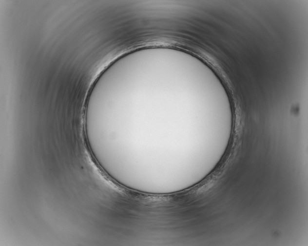 X0000111800802200907301208