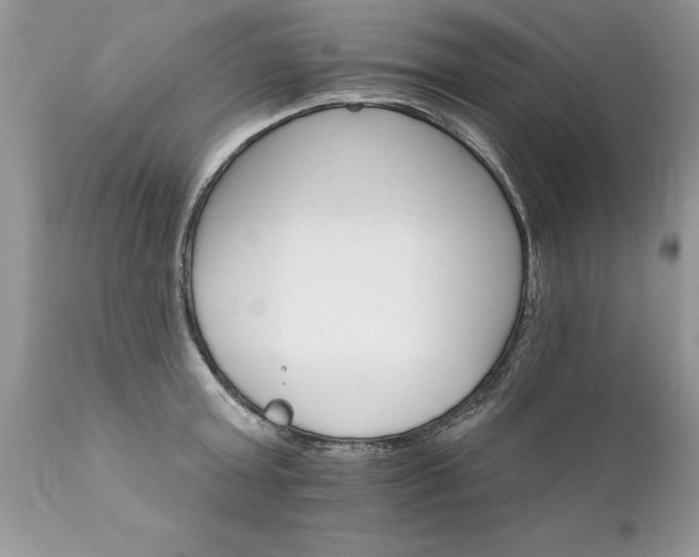 X0000111800803200907301208
