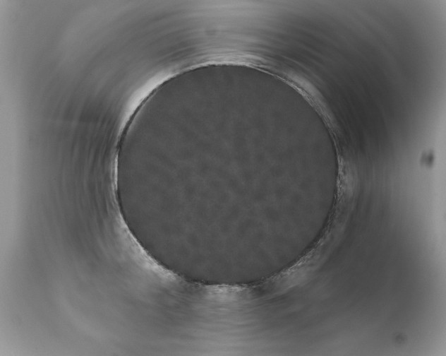 X0000111800804200907301208