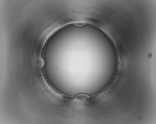 X0000111800805200907301208