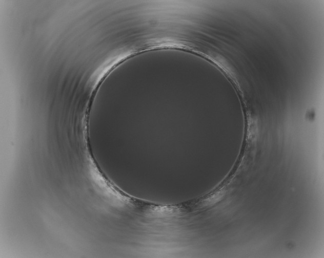 X0000111800806200907301208