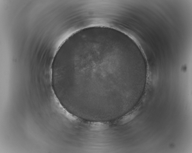 X0000111800807200907301208