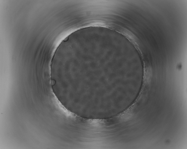 X0000111800808200907301208