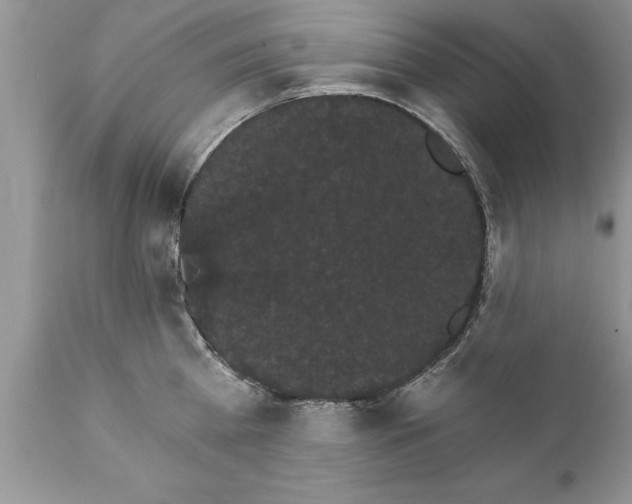 X0000111800809200907301208