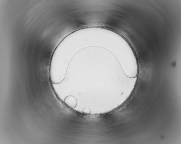 X0000111800810200907301208