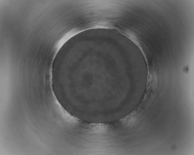 X0000111800811200907301208