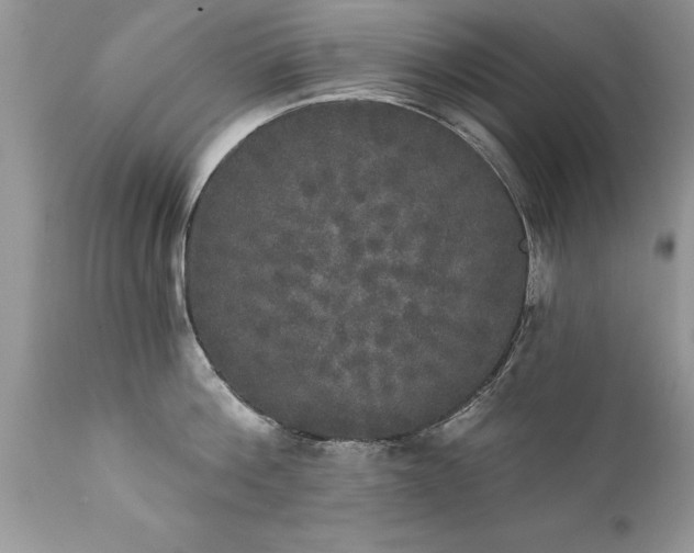 X0000111800812200907301208