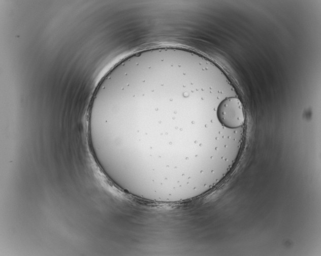 X0000111800814200907301208
