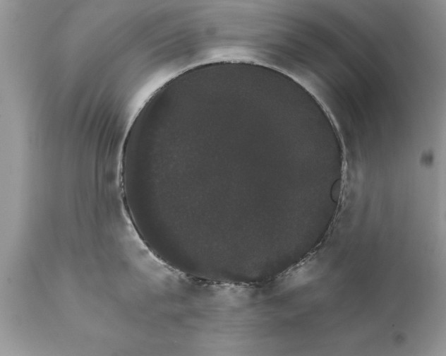 X0000111800815200907301208