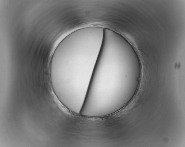 X0000111800816200907301208