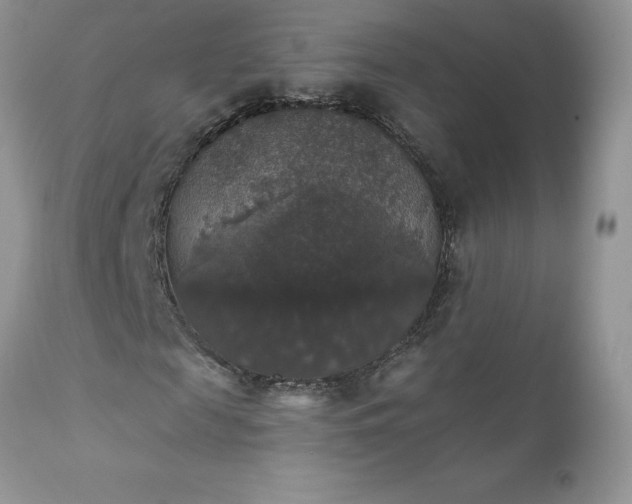 X0000111800817200907301207