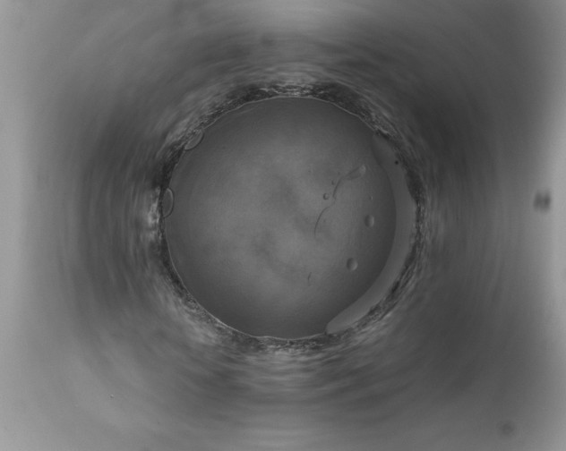 X0000111800818200907301207