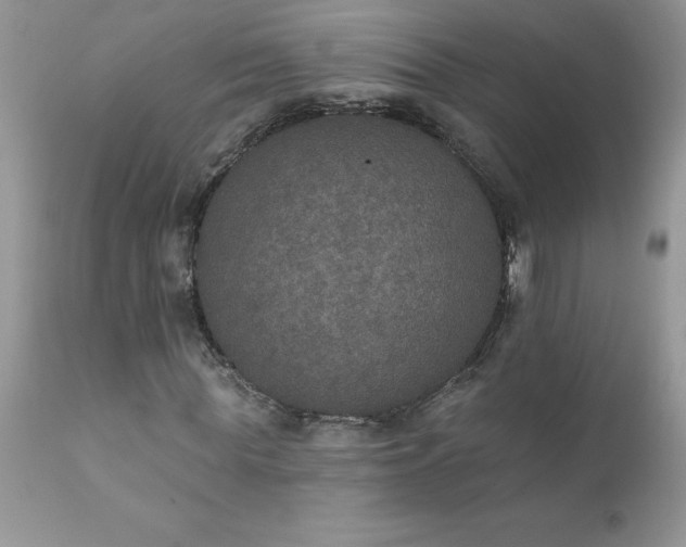 X0000111800819200907301207