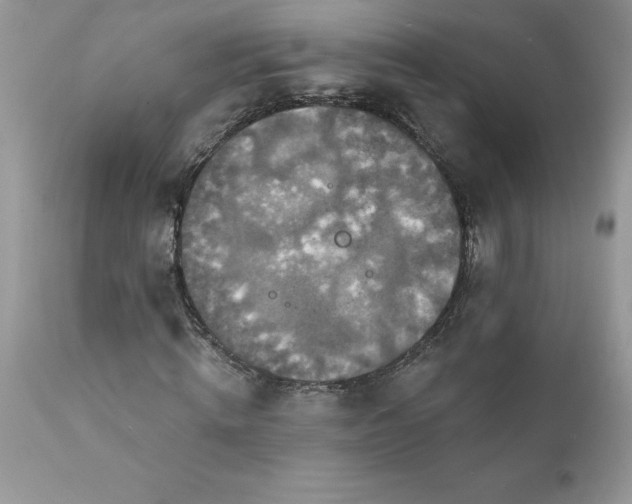 X0000111800820200907301207