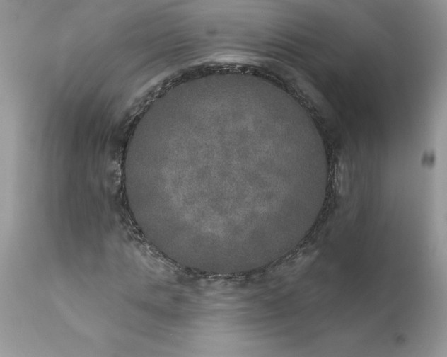 X0000111800821200907301207