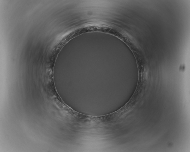 X0000111800822200907301207