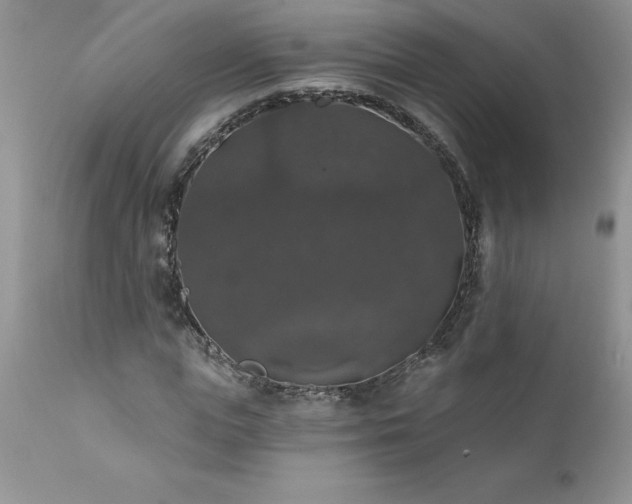 X0000111800823200907301207