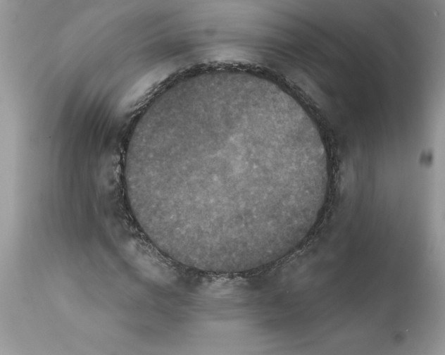 X0000111800824200907301207