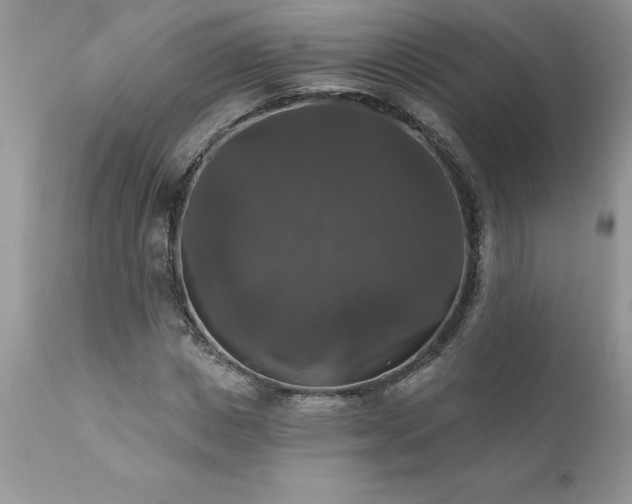 X0000111800825200907301207