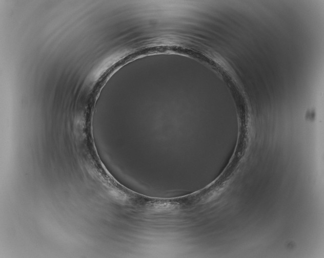 X0000111800826200907301207