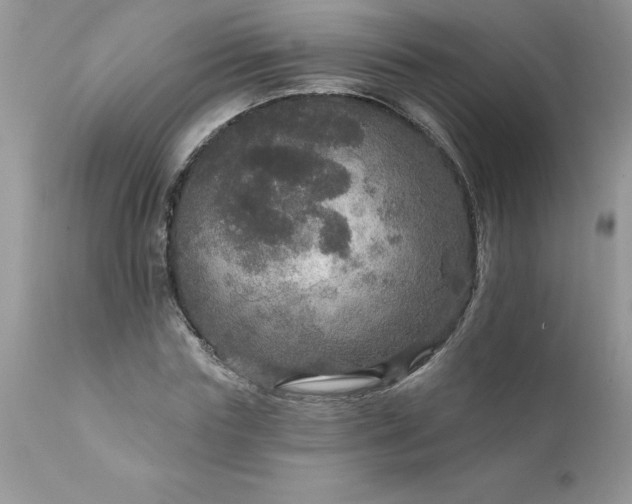 X0000111800827200907301207