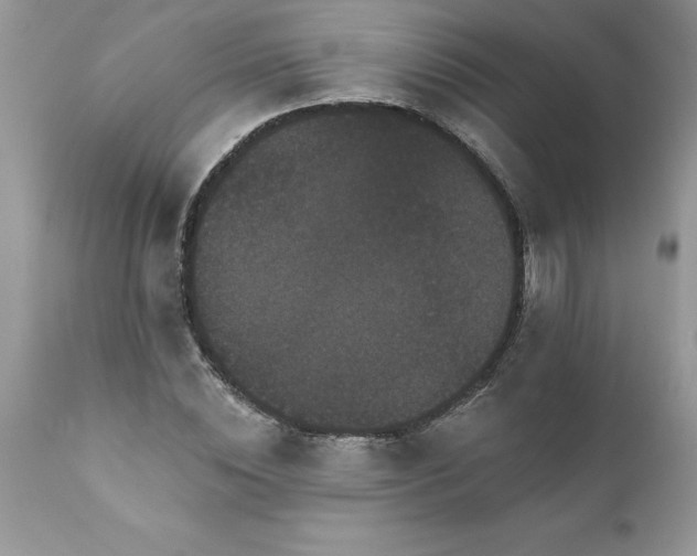 X0000111800828200907301207