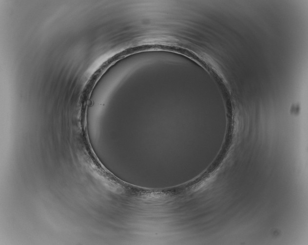 X0000111800830200907301207