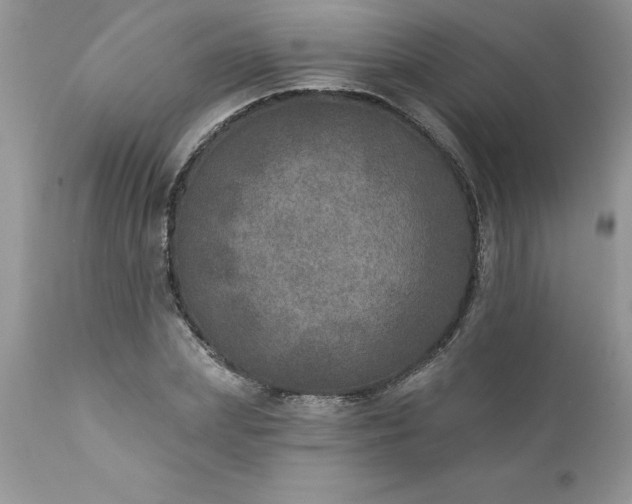 X0000111800831200907301207