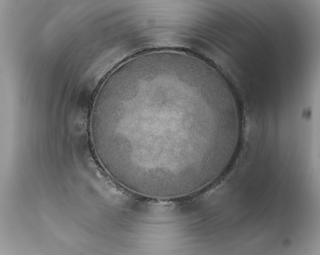 X0000111800833200907301207