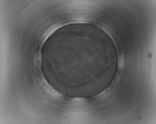X0000111800835200907301207