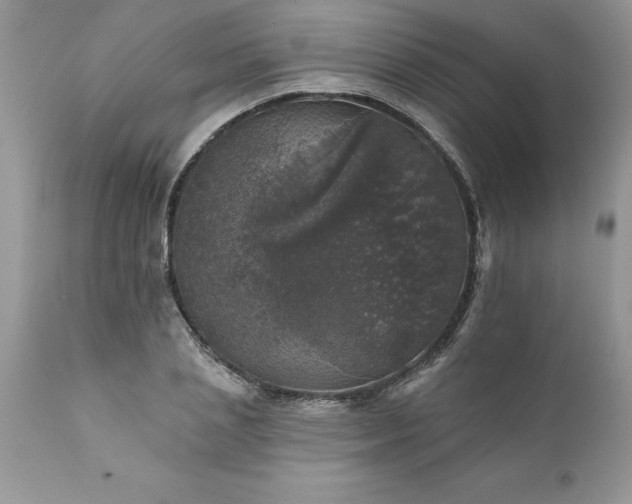 X0000111800837200907301207