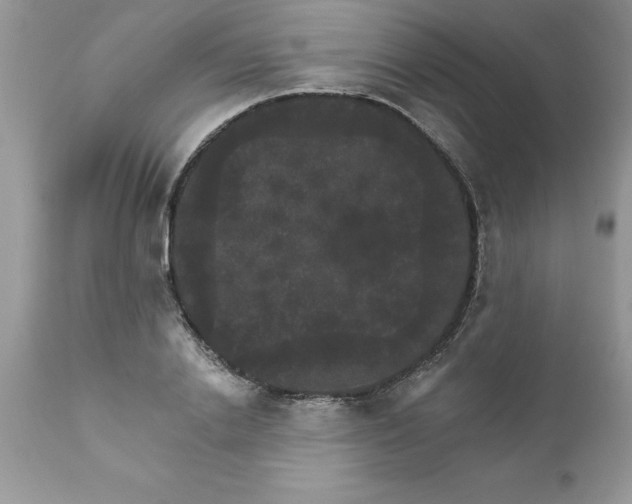 X0000111800838200907301207