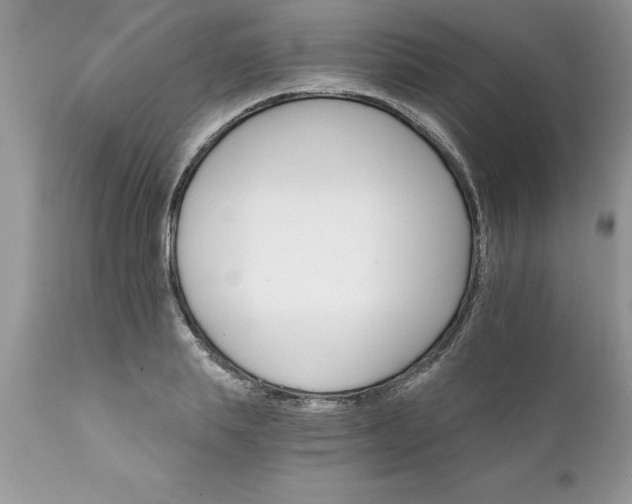 X0000111800839200907301207