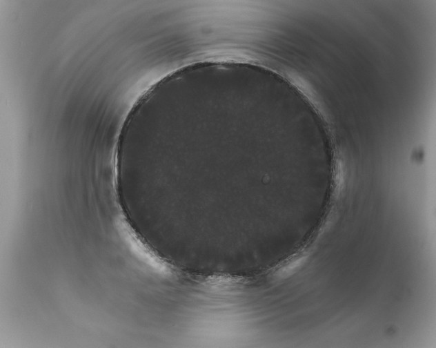 X0000111800840200907301207