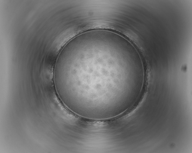 X0000111800841200907301207
