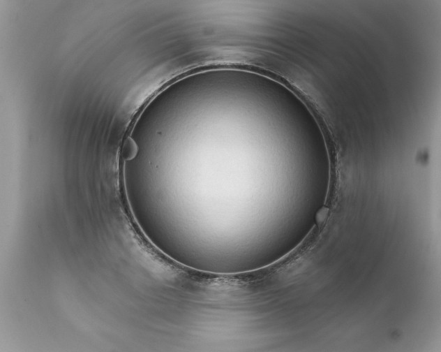 X0000111800842200907301207
