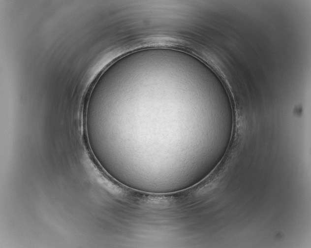 X0000111800843200907301207
