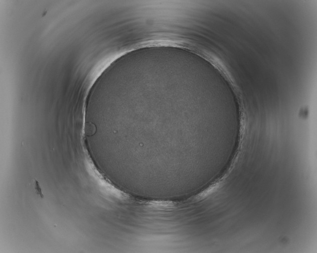 X0000111800844200907301207