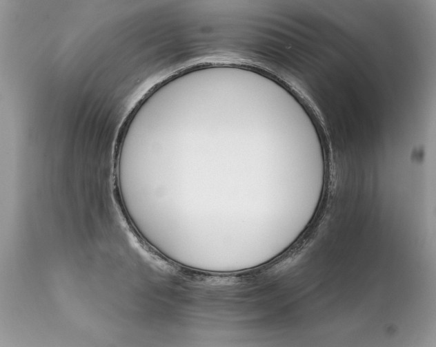 X0000111800845200907301207