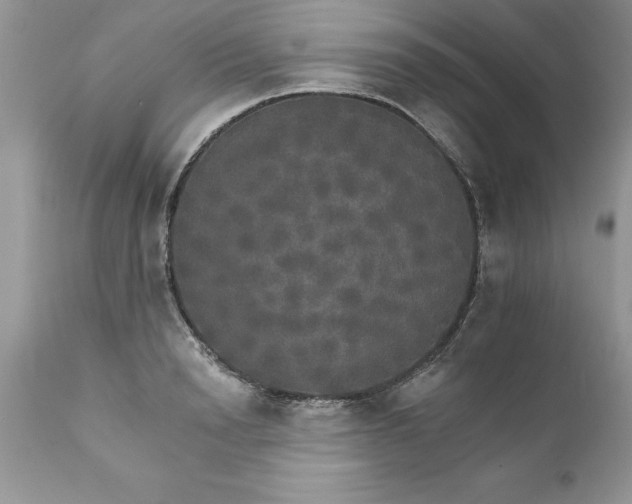 X0000111800846200907301207