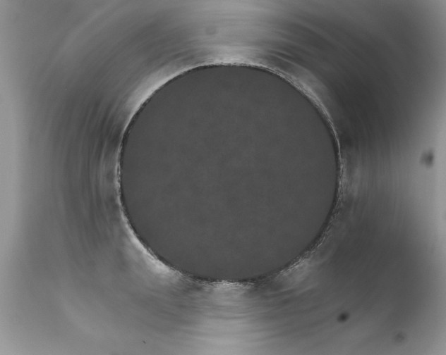 X0000111800847200907301207
