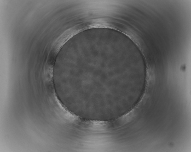 X0000111800849200907301207