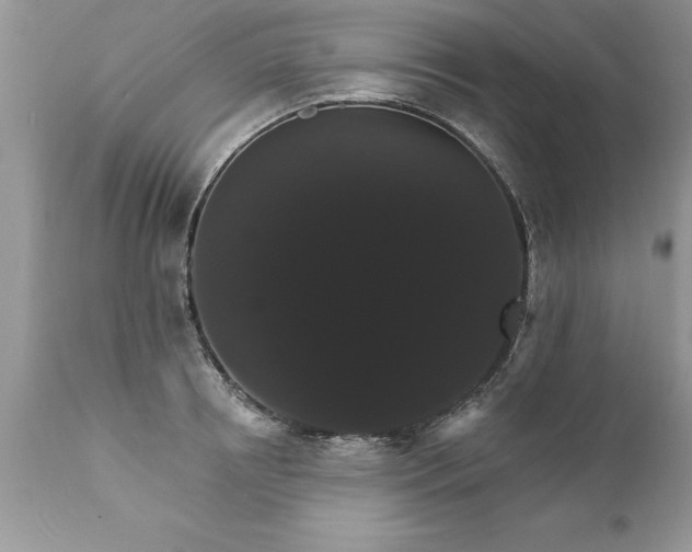X0000111800850200907301208