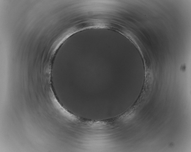X0000111800851200907301208