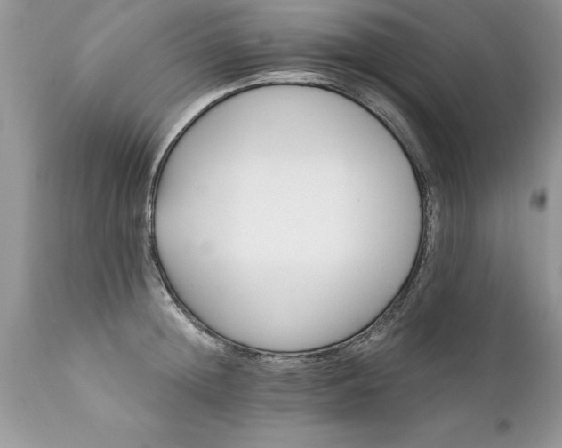 X0000111800852200907301208