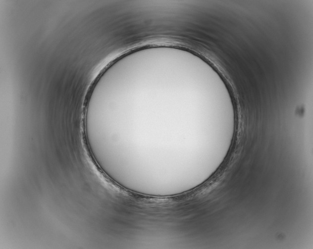 X0000111800853200907301208