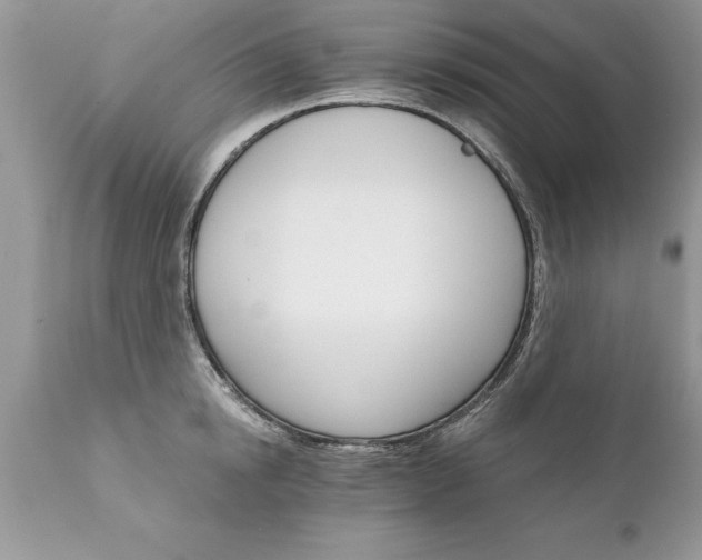 X0000111800854200907301208