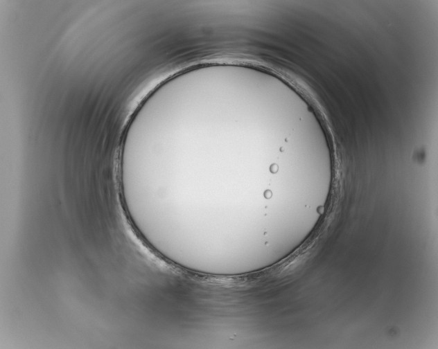 X0000111800855200907301208