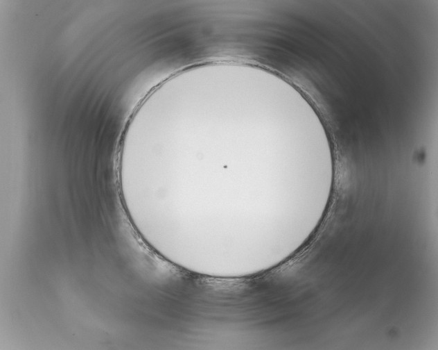 X0000111800856200907301208