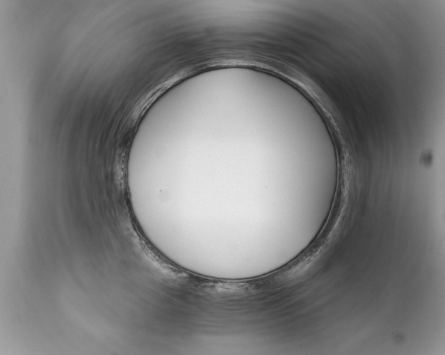 X0000111800857200907301208